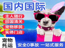 福成航空物流国际宠物托运 【国